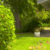 Lawn and patio
